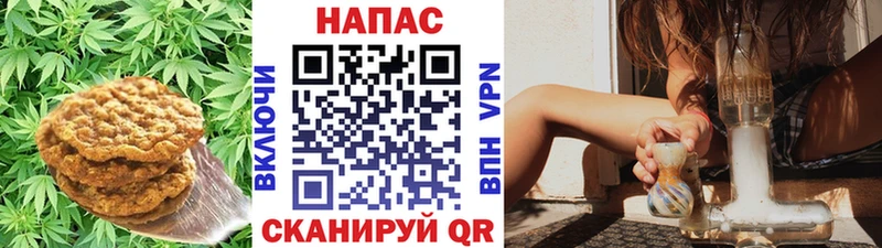 Cannafood конопля  Мураши 