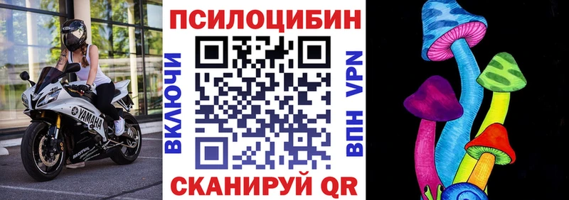 цена наркотик Мураши Псилоцибиновые грибы Psilocybe